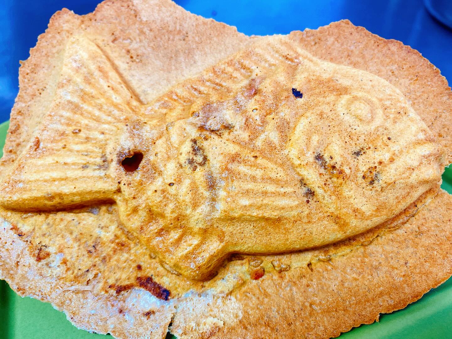 札幌本店も限定たい焼きが林檎&チーズになりました!